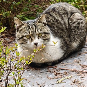 有些雨在相遇前注定落下