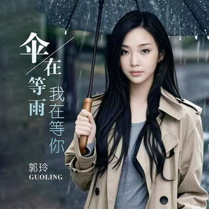 伞在等雨我在等你 (Dj何鹏剪辑版1)