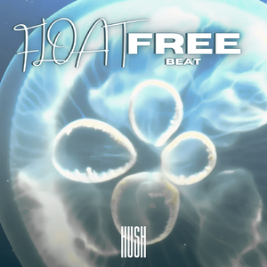 【Free Beat】'Float' | No tag