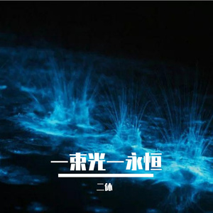 璀璨萤火一刻永痕