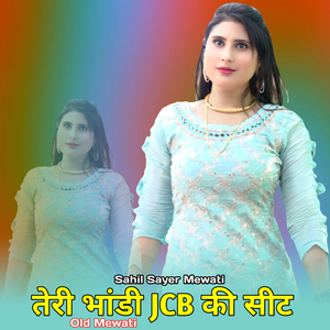 तेरी भांडी जेसीबी की सीट ओल्ड मेवाती