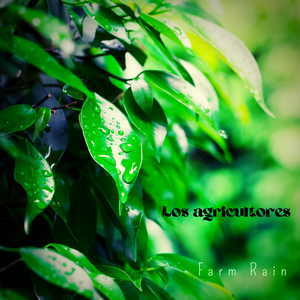 Spanish Farm Drizzle 2