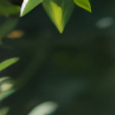 陈水若15045-整曲