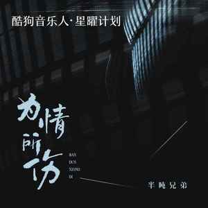 为情所伤 (DJ京仔版)