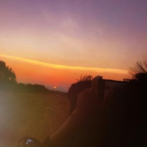 下班回家我自己吃饭