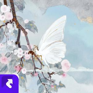 海边夕阳 (现场)