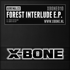 Forest Interlude (Original Mix)