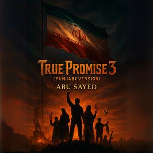 True Promise 3 (Punjabi Version)