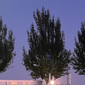 看山remix（prod by DarutoBeatz ）