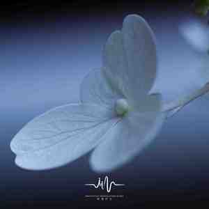 想念关于你的诗 (催眠曲)