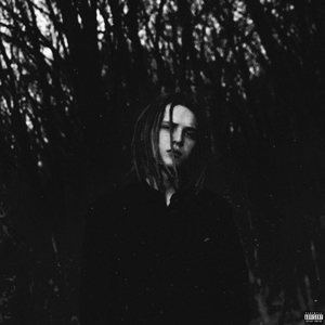 Счастливый билет