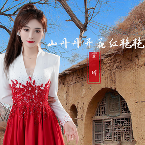 山丹丹开花红艳艳 -伴奏