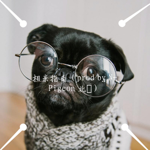 相亲指南