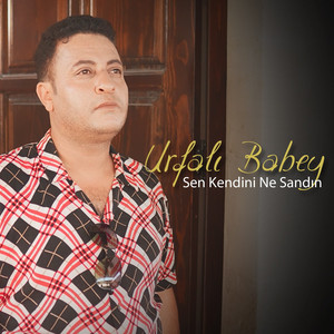 Sen Kendini Ne Sandın