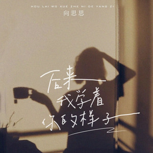 后来我学着你的样子