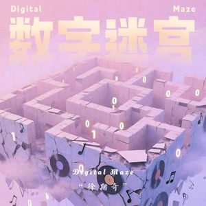 数字迷宫
