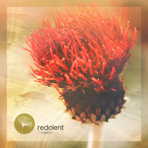 Save a Prayer (Extended Mix)