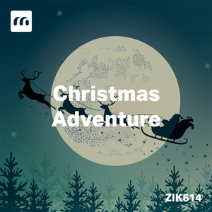 Christmas Adventure