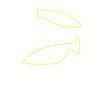 Swimming Fish