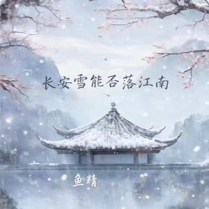长安雪能否落江南(DJ阿泽版)