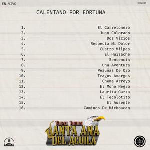 El Ausente (En Vivo)