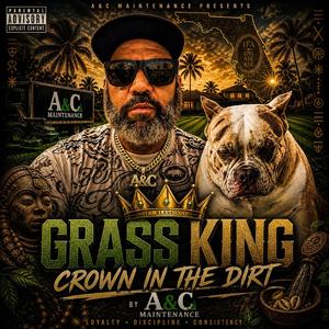 CROWN IN THE DIRT