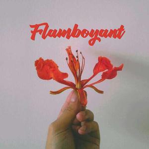 Flamboyant