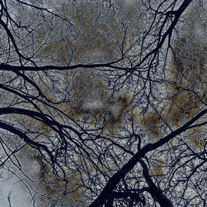 Уничтожение