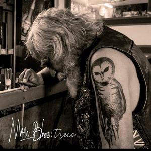 Acaricia el universo