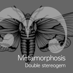 Metamorphosis