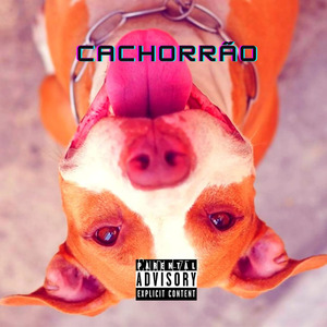 Cachorrão