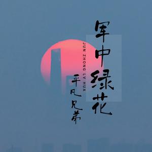 军中绿花 (伴奏)