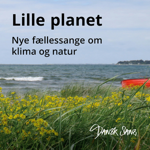 Byens revner og sprækker