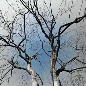 说句我爱你-整曲