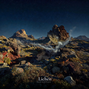 Lichen