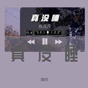 真没睡