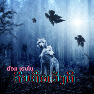 ຄົນທີ່ຫວັງດີ