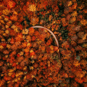 한 편의 시처럼