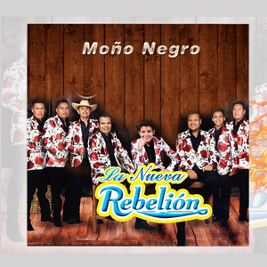 Moño Negro