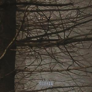 Flakes Of Dust _intro