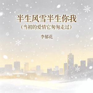 半生风雪半生你我（当初的爱情它匆匆走过）