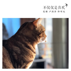 不仅仅是喜欢（翻自 孙语赛 萧全）