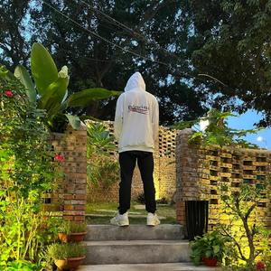 失之东隅 .东隅已逝