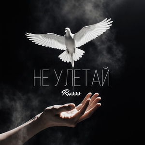 Не Улетай