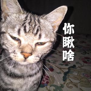 在摇曳的花丛中感受到了你的洗发水香气（翻自 张凡俊）