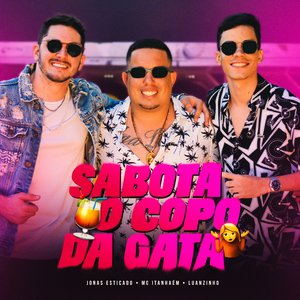 Sabota o Copo da Gata
