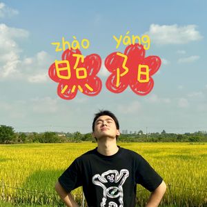 照阳