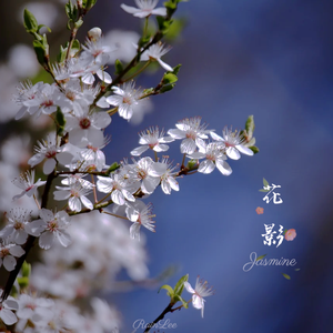 夜空（Night  Sky）