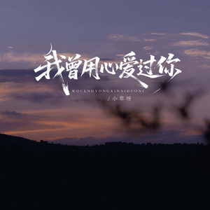 我曾用心爱过你