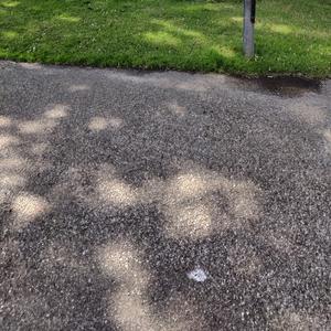 Flöa (På mina bara knän)